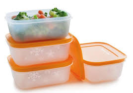 Tupperware - Set Congélation 450ml (4)