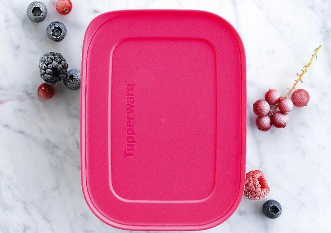 Tupperware - Congelation 1,1lt Haute (2) Retail