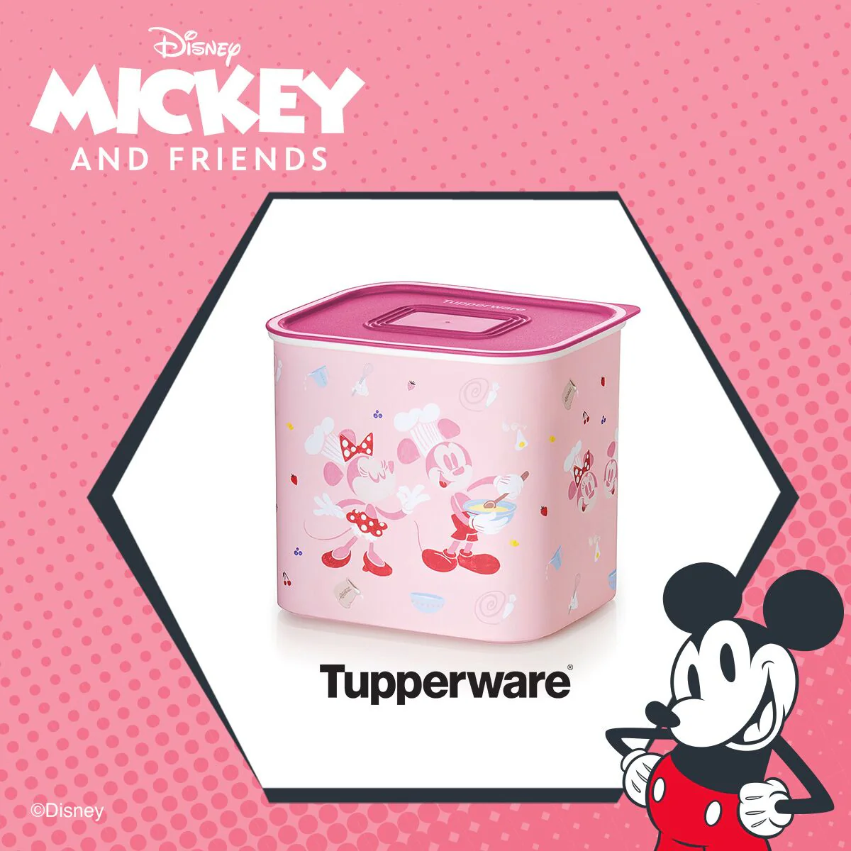 Freshetanche Rose Mickey 2lt