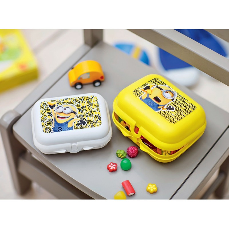 Boite Papillon Moyenne Minions Jaune (1)